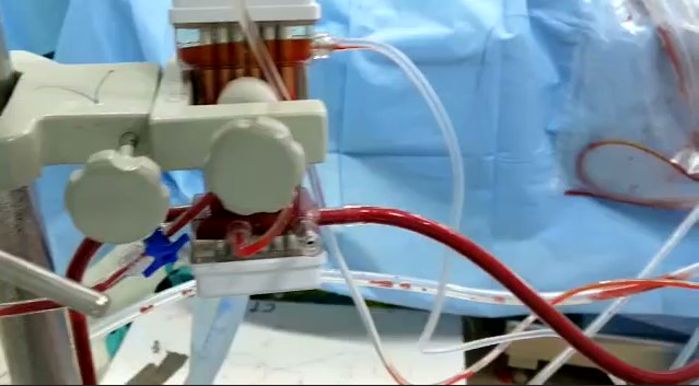 Screenshot 2026-02-09 181512