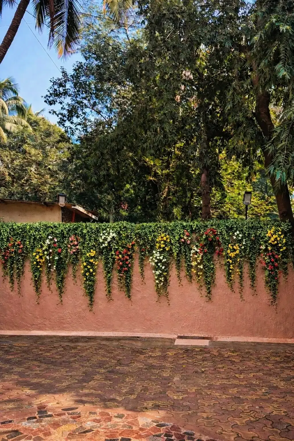 WhatsApp-Image-2026-01-31-at-16.57.48-1