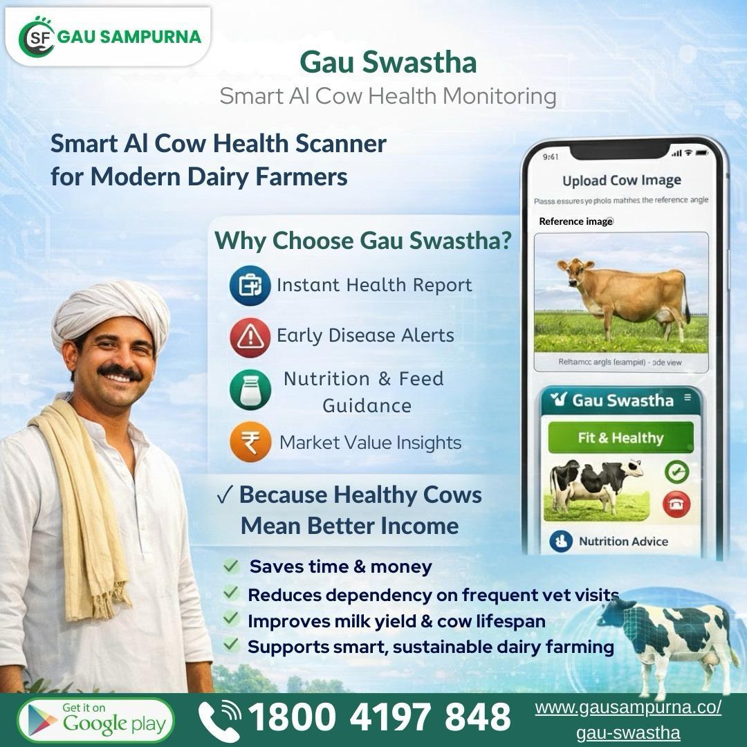 WhatsApp Image 2026-03-11 at 14.16.47 (1)