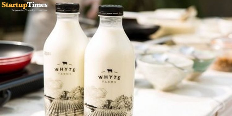Whyte Farms- A farm that combines tradition with technology to bring back pure milk